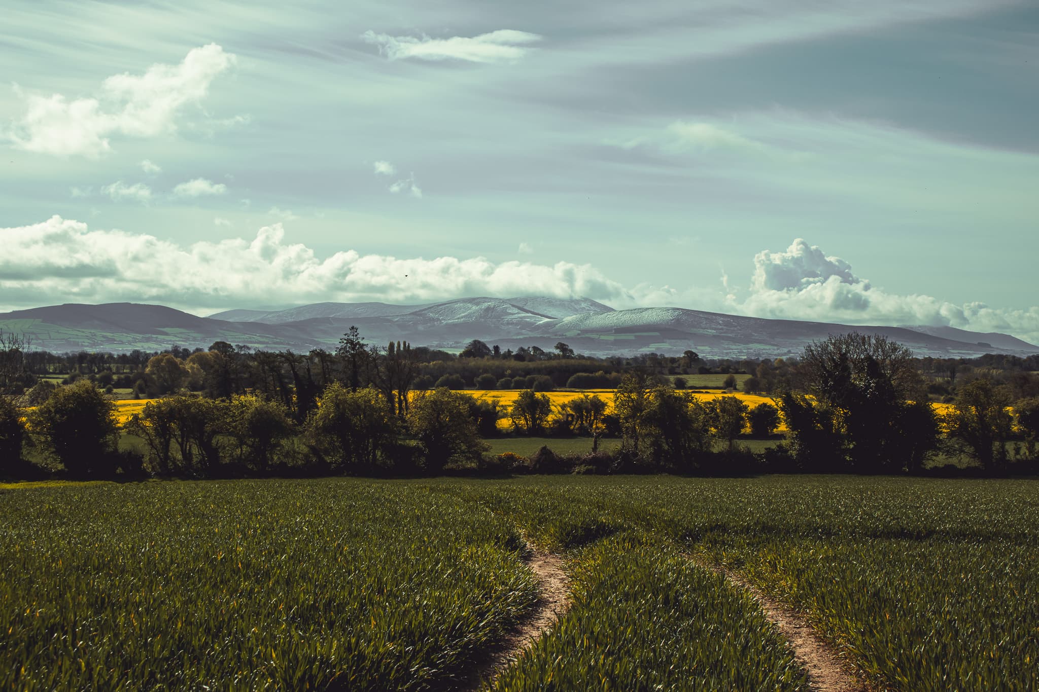 Carlow fields under the Blackstairs Mountains